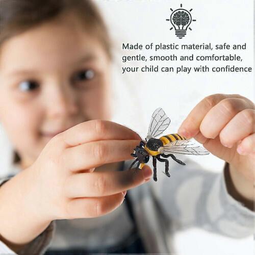 Bee Display Models Simulation Bee Growth Cycle Model For Kids 1Set 2