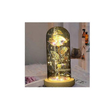 Artificial Red Rose LED Lights Glass Dome Forever Gift Christmas Valentine