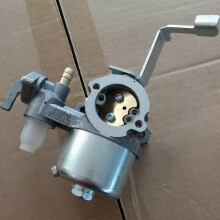 Vergaser Briggs & Stratton 796447