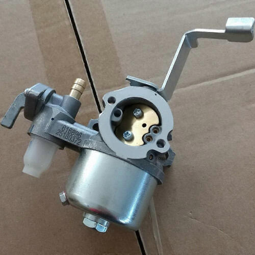 Vergaser Briggs & Stratton 796447