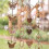 Steel Leaf Rain Chain Thick Iron Flower Cups Downspout Adapter Gift for Mom 5