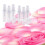 Transparent 2 ML Spray Plastic Bottle Spray Perfume Empty Sample Bottle Suitable for Travel Party 480Pcs 6