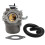 Vergaser Briggs & Stratton 796077,590399 3