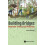 BUILDING BRIDGES BETWEEN THEORY AND PRACTICE by BLOCKLEY DAVID Hardcov 1