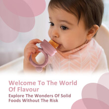 GreenBliss Baby Fruit Feeder Silicone  Breastmilk Popsicle Food Freeze