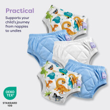 Bambino Mio 5 Pack Potty Training Pants for Toddlers Reusable Cloth Tr