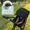 Stroller Replacement Canopy for Doona XDoona  Doona i Car Seat Strolle 2