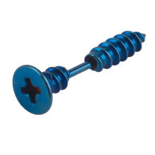 Five Vacuum-Plated Personalized Titanium Steel Screw Earrings (Royal Blue). Surprise Gift