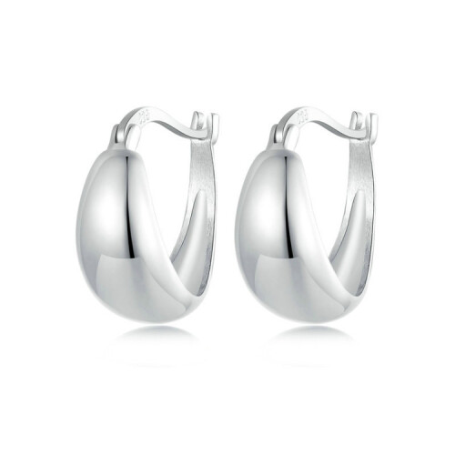 S925 Sterling Silver Metallic Earrings (Bse967) Surprise Gift