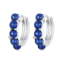 S925 Sterling Silver Plated White Gold Blue Everyday Earrings (Bse984) Surprise Gift