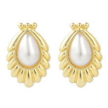 E2109-17 Teardrop Earrings Jewelry Surprise Gift