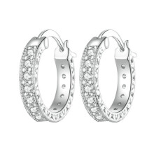 S925 Sterling Silver Simple Zircon Earrings Surprise Gift