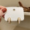 Shell Double-Layer Earrings With Diamond Clasp, Color: Eh1350 Surprise Gift 2