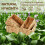 6X Wicker Baskets for Organizing 3Pack, Large and Small Wicker Storage Baskets Set, Hand Woven Baskets for Storage 7