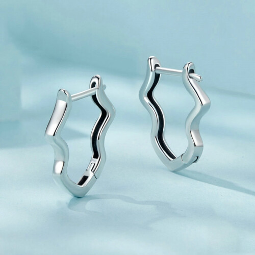 S925 Sterling Silver Wave-Shaped Ear Clips (Sce1761) Surprise Gift 2