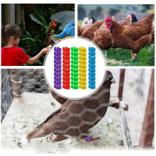 Chicken Thigh Ring Clip Numbered Leg Band Tags Chickens Ducks Leg Rings Clip Poultry Foot Rings