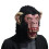 Mannelijke getande gorilla latex masker 4