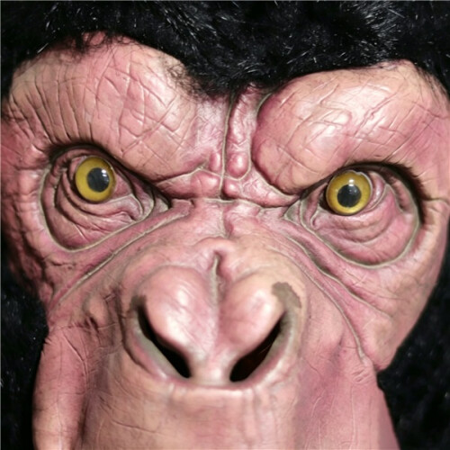 Mannelijke getande gorilla latex masker 2