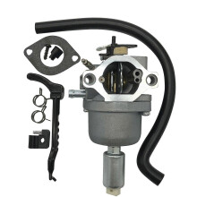 Vergaser Briggs & Stratton 794572 697141 697190 698445 791888