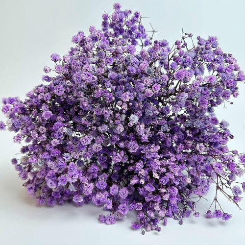 Gypsophile naturelle (3 bouquets) – Violet clair 1
