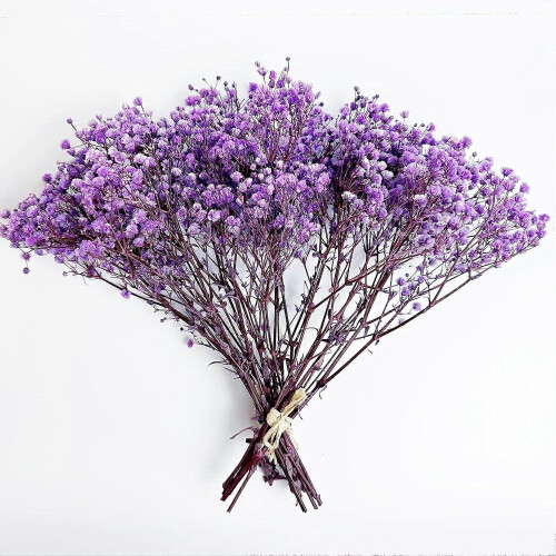 Gypsophile naturelle (3 bouquets) – Violet clair 2