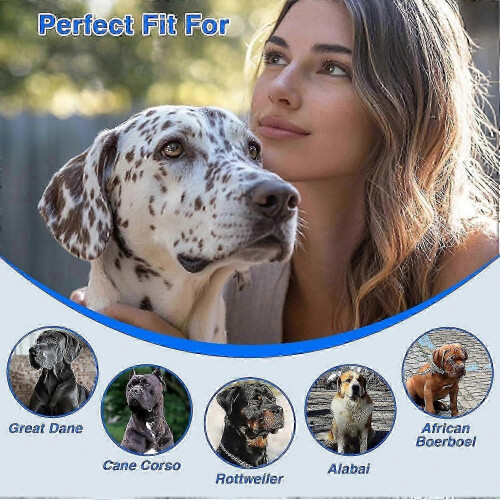 Extra Large Metal Basket Muzzle for Great Dane, Breathable & Drinkable, Prevents Biting 2