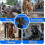 Extra Large Metal Basket Muzzle for Great Dane, Breathable & Drinkable, Prevents Biting 4