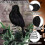Mini corbeau d'Halloween 4