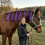 8 unités de protecteurs de crin de cheval en nylon lisse-Noir 3