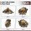 1Pcs Animal  Wall Decor Lion Wall Decor Wall Statue Home Decor  Simulation Statue 5