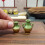 Mini Ceramic Binaural Vase Decor Set 1Pack Craft 5