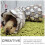 En Hangmat Nest Hamster En Cavia 3