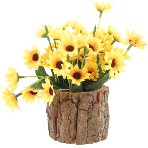 1Hout Stamsucculent Pot Rustiek Design Voor En