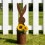 Decoratieve verroeste ijzeren konijnentuinpotcontainer, ideaal 3