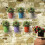 36pcs Planter for Flowers  Buckets Metal Table Decoration (Random Color) 2