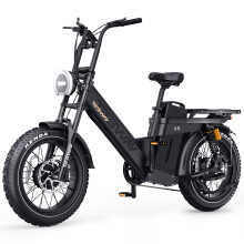 TESWAY X5-AWD 38MPH Electric Bike 52V 60AH 320KM