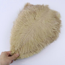 (Camel, 20-25cm) 10 st./lott 15-20 cm vita strutsfjädrar färgglada plymer högtid karneval hantverk