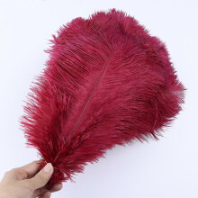 (Wine, 20-25cm) 10 st./lott 15-20 cm vita strutsfjädrar färgglada plymer högtid karneval hantverk
