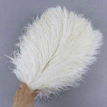 (White, 15-20cm) 10PcsLot 15-20cm White Ostrich Feathers Colorful Plumes Holiday Carnival Handicraft