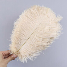 (Light champagne, 20-25cm) 10PcsLot 15-20cm White Ostrich Feathers Colorful Plumes Holiday Carnival Handicraft