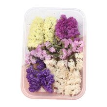 (E) DIY evige blomstermateriale ekte naturlig tørket bulksett