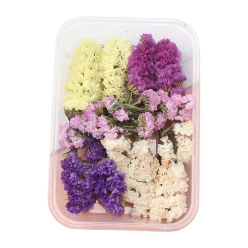 (E) DIY Everlasting Flowers Material Real Natural Dried Bulk Kit
