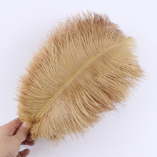 (light brown, 15-20cm) 10 st./lott 15-20 cm vita strutsfjädrar färgglada plymer högtid karneval hantverk