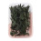 (F) DIY Everlasting Flowers Material Real Natural Dried Bulk Kit 1