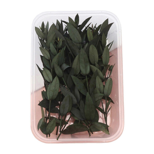 (F) DIY Everlasting Flowers Material Real Natural Dried Bulk Kit