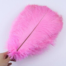 (Deep pink, 15-20cm) 10 st./lott 15-20 cm vita strutsfjädrar färgglada plymer högtid karneval hantverk