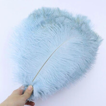 (Light blue, 15-20cm) 10 st./lott 15-20 cm vita strutsfjädrar färgglada plymer högtid karneval hantverk