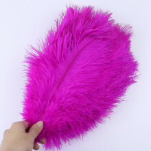 (Rose, 30-35cm) 10PcsLot 15-20cm White Ostrich Feathers Colorful Plumes Holiday Carnival Handicraft
