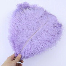 (Light purple, 30-35cm) 10PcsLot 15-20cm White Ostrich Feathers Colorful Plumes Holiday Carnival Handicraft