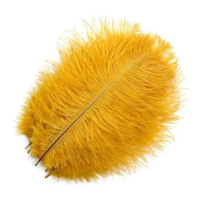 (Gold yellow, 30-35cm) 10 st./lott 15-20 cm vita strutsfjädrar färgglada plymer högtid karneval hantverk